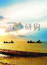 THE NATIONALIS ATION OF MULTINATIONALS IN PERIPHERAL PDF电子版封面 JULIO FAUNDEZ