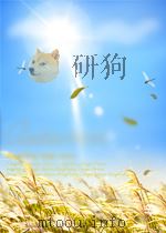 THE DFFECT OF DEFICITS ON PRICES OF FINANCIAL ASSETS THEORY AND EVIDENCE PDF电子版封面