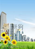 INTERNATIONAL SUBCONTRACTING A NEW FORM OF INVESTMENT PDF电子版封面 DIMITRI GERMIDIS
