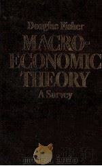 DOUGLAS FISHER MACRO-THEORY A SURVEY（1983 PDF版）