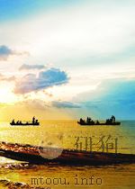 THE AERODROME   1982  PDF电子版封面  0192813366   