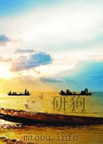THE IVORY COMB PDF电子版封面