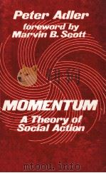 MOMENTUM:A THEORY OF SOCIAL ACTION 1981 PDF电子版封面 0803913079