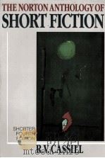 THE NIRTON ANTHOLOGY OF SHORT FICTION SHORTER FOURTH EDITION 1989 PDF电子版封面 0393959341 R.V.CASSILL