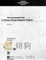 THE INCREMENTAL COST OF CLIMATE CHANGE MITIGATION PROJECTS   1993  PDF电子版封面  1884122094   