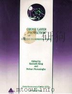 OZONE LAYER PROTECTION COUNTRY INCREMENTAL COSTS 1995 PDF电子版封面 0821331337