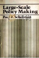 LARGE SCALE POLICY MAKING 1980 PDF电子版封面 0444990755