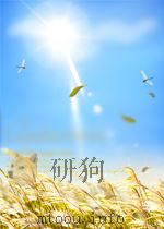A READING SPECTRUM PROGRESSIVE READING SERIES BOOK SIX PDF电子版封面 DR.VIRGINIA FRENCH ALLEN