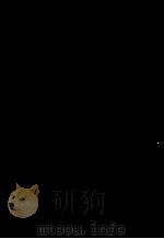 計量経済学   1982  PDF电子版封面    岩田暁一 