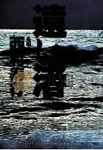 遠い渚 長編小説 1979.01 PDF电子版封面 西村寿行
