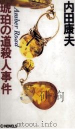 琥珀の道殺人事件（1993.05 PDF版）