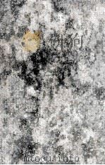 La Nouvelle Idole 1924 PDF电子版封面