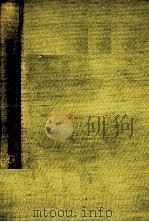 未知への飛翔 昌険と放浪 1967.12 PDF电子版封面 小田実