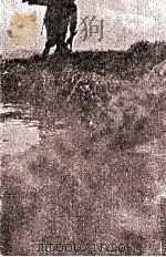 破綻 1978.06 PDF电子版封面 保阪正康