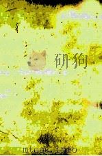 死にたいあなたへ 1981.10 PDF电子版封面 朝倉和泉