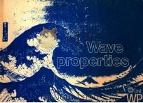 Wave Properties 1979 PDF电子版封面
