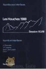 LES HOUCHES SESSION XLVIII 30 Mai-24 Juin 1988:LIQUIDES AUX INTERFACES LIQUIDS AT INTERFACES 1990 PDF电子版封面 0444884505
