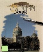 JOWA   1996  PDF电子版封面  081147335X   