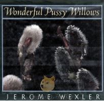 WONDERFUL PUSSY WILLOWS PDF电子版封面