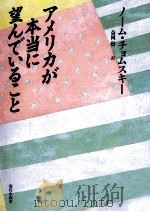 アメリカが本当に望んでいること   1994.06  PDF电子版封面    Chomsky 