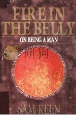 FIRE IN THE BELLY:ON BEING A MAN 1991 PDF电子版封面 0553071882