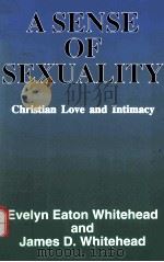 A SENSE OF SEXUALITY:CHRISTIAN LOVE AND INTIMACY 1999 PDF电子版封面 0824514548