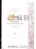 TRANS-HIMALAYA:DISCOVERIES AND ADVENTURES IN TIBET PDF电子版封面 7563389806 SEVEN HEDIN