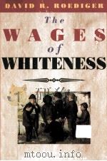 THE WAGES OF WHITENESS 1991 PDF电子版封面 0860915506