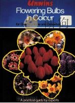 FLOWERING BULBS IN COLOUR 1973 PDF电子版封面 060031295X
