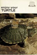 ENJOY YOUR TURTLE（ PDF版）