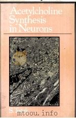 ACETYLCHOLINE SYNTHESIS IN NEURONS 1978 PDF电子版封面 0470263040 S.TUCEK