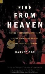 FIRE FROM HEAVEN:THE RISE OF PENTECOSTAL SPIRITUALITY AND THE RESHAPING OF RELIGION IN THE TWENTY-FI 1995 PDF电子版封面 0306810492 HARVEY COX