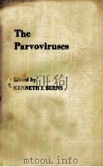 THE PARVOVIRUSES 1984 PDF电子版封面 0306414120