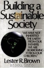 BUILDING A SUSTAINABLE SOCIETY 1981 PDF电子版封面 0393300277