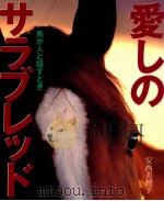 愛しのサラブレッド 1995.04 PDF电子版封面 安西美穂子