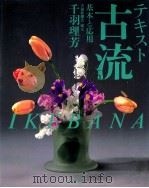 テキスト·古流 1991.11 PDF电子版封面 千羽理芳