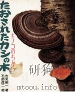 たおされたカシの木（1976 PDF版）