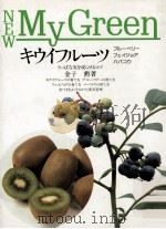 キウイフルーツ 1991.04 PDF电子版封面 金子勲