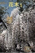 花木 1 1971.07 PDF电子版封面 加藤要