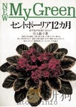 セントポーリア12カ月   1991.04  PDF电子版封面    川上敏子 