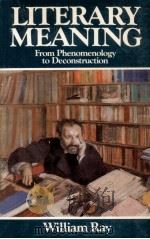 Literary meaning : from phenomenology to deconstruction（1984 PDF版）