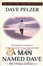 A MAN NAMED DAVE 1999 PDF电子版封面 0452281903