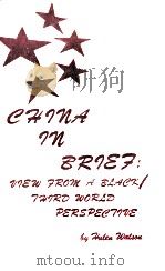 China in brief:view from a blackl third world perspective（1972 PDF版）