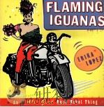 FLAMING IGUANAS 1997 PDF电子版封面 068485368X