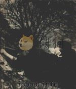 THE RESISTANCE（1940 PDF版）