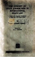 THE CONCEPT OF STATE JURISDICTION IN INTERNATIONAL SPACE LAW 1971 PDF电子版封面 9024750156