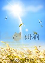 MAN transport solutions PDF电子版封面