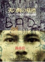 火の海の墓標:ある<アジア主義者>の流転と帰結 1977.03 PDF电子版封面 後藤乾一著