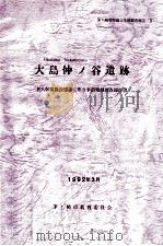大島仲ノ谷遺跡:老人保険施設建設に伴う事前発掘調査報告書（1992.03 PDF版）