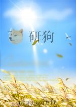 king solomon's mines P224 PDF电子版封面